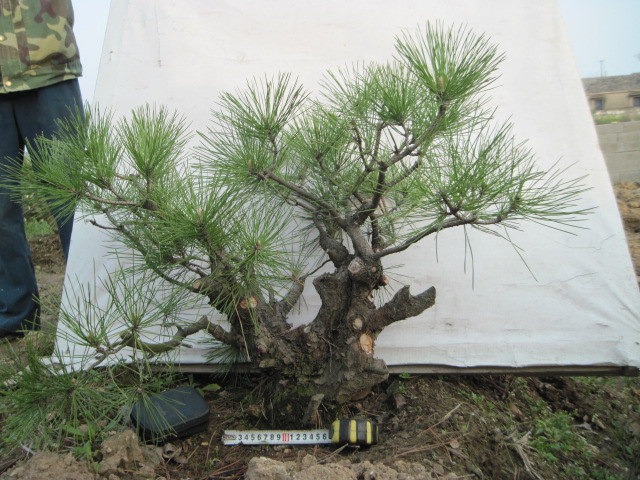 20130324Ժ 002.jpg