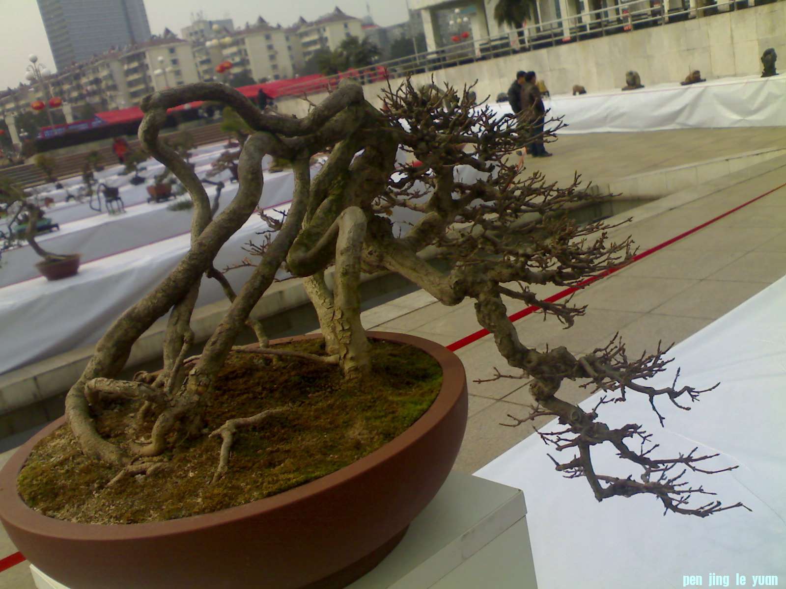 201302211161.jpg
