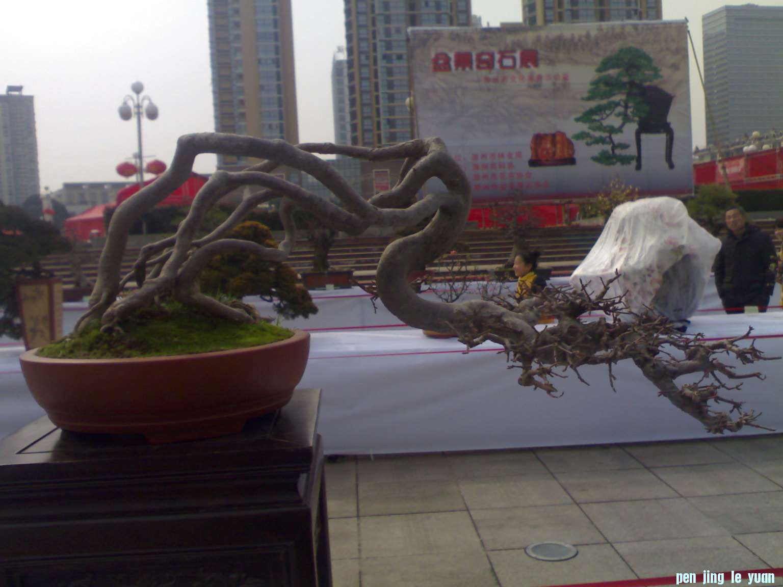 201302211186.jpg