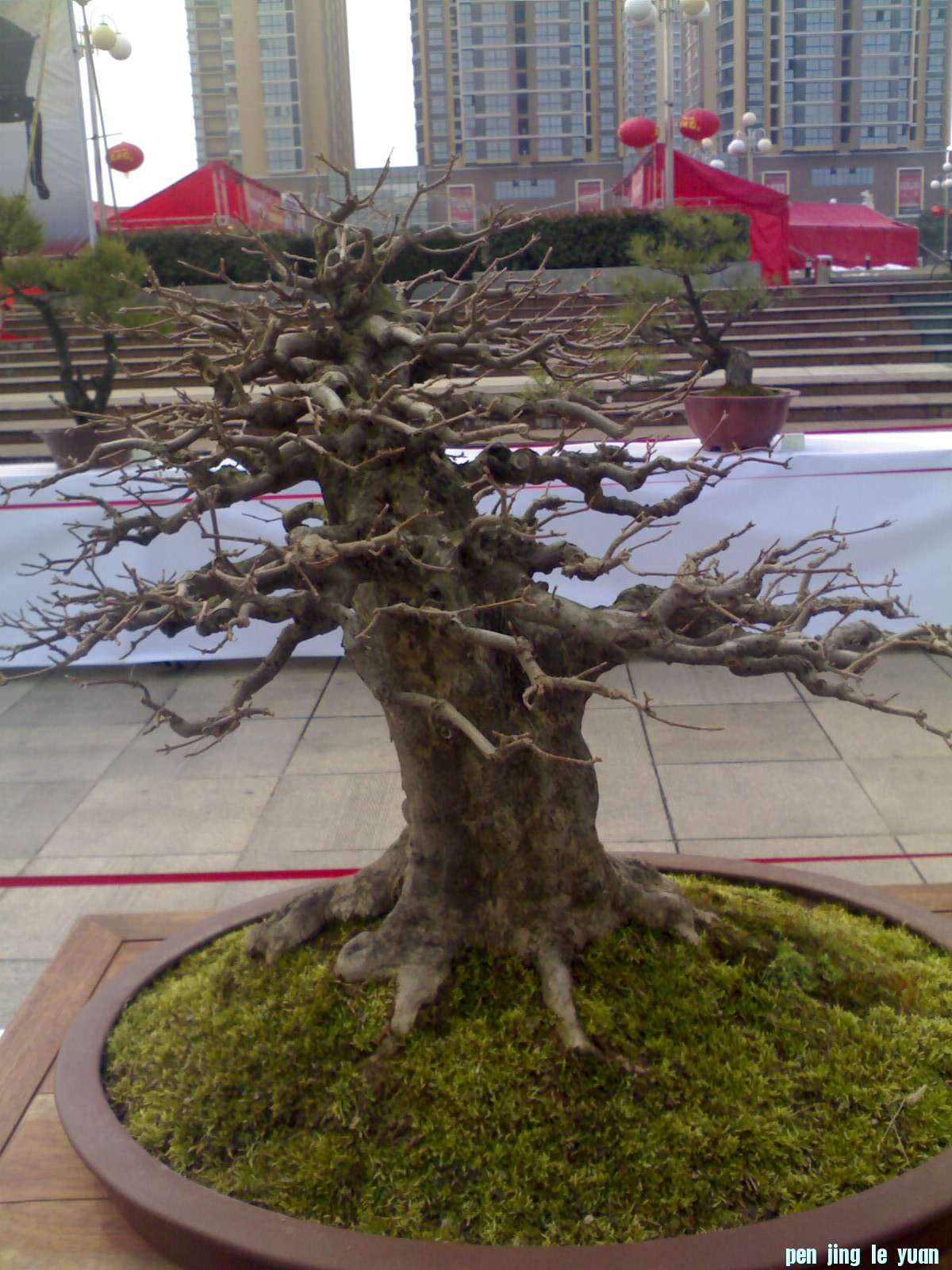201302211193.jpg