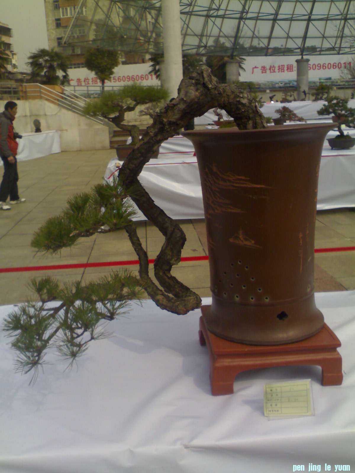 201302211205.jpg
