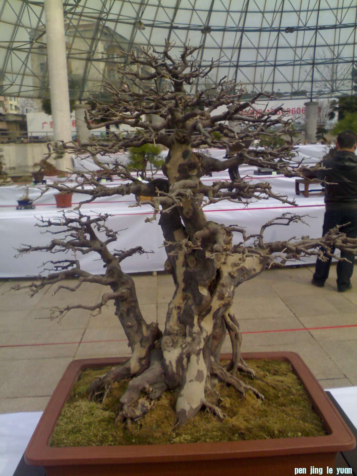 201302211208.jpg