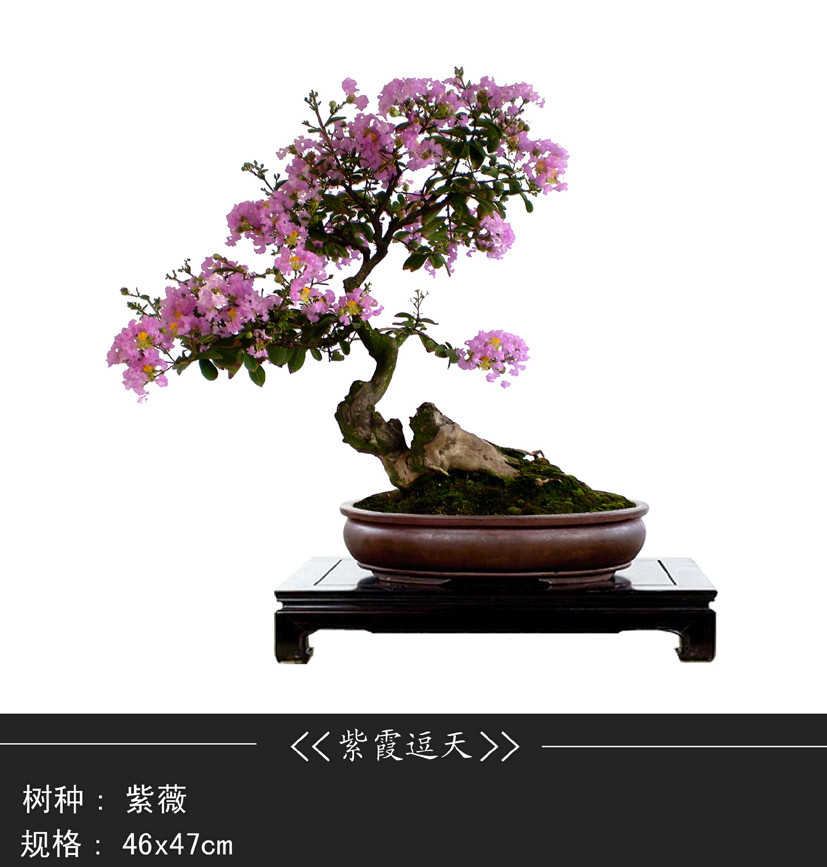 ޱ2bc.jpg