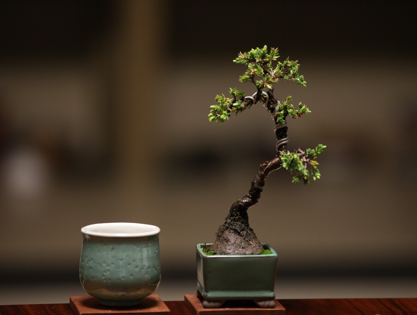 2012032501.jpg