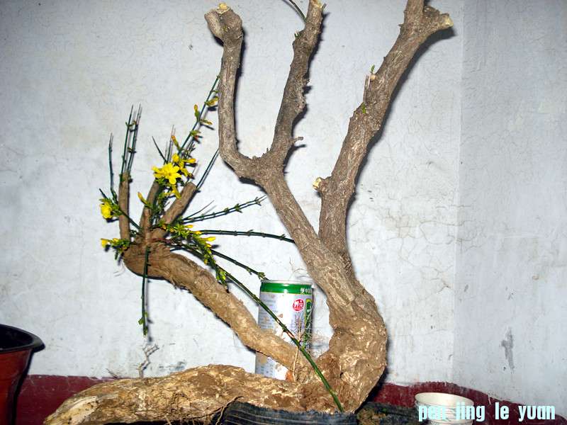DSC04962_.jpg