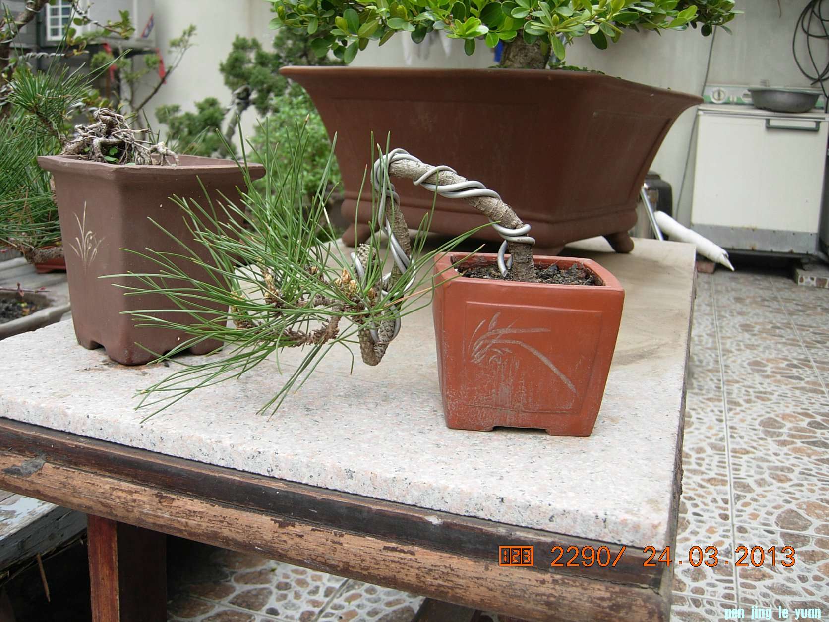 DSCN6577.JPG