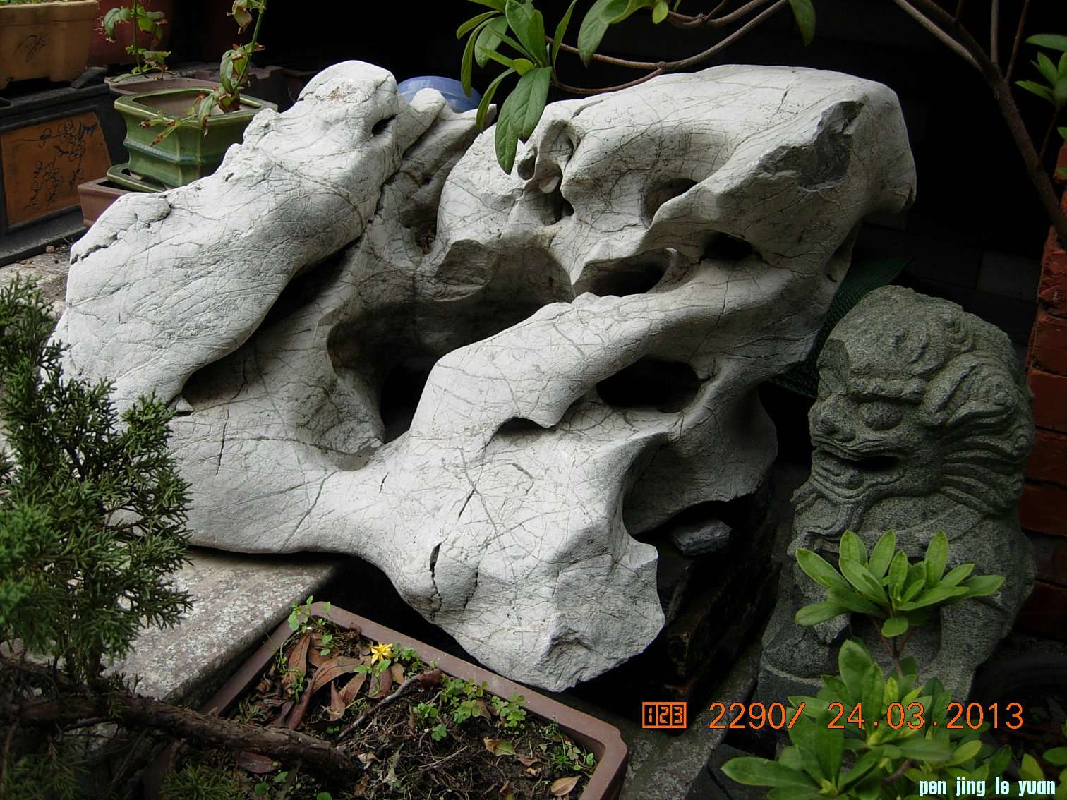 DSCN6582.JPG