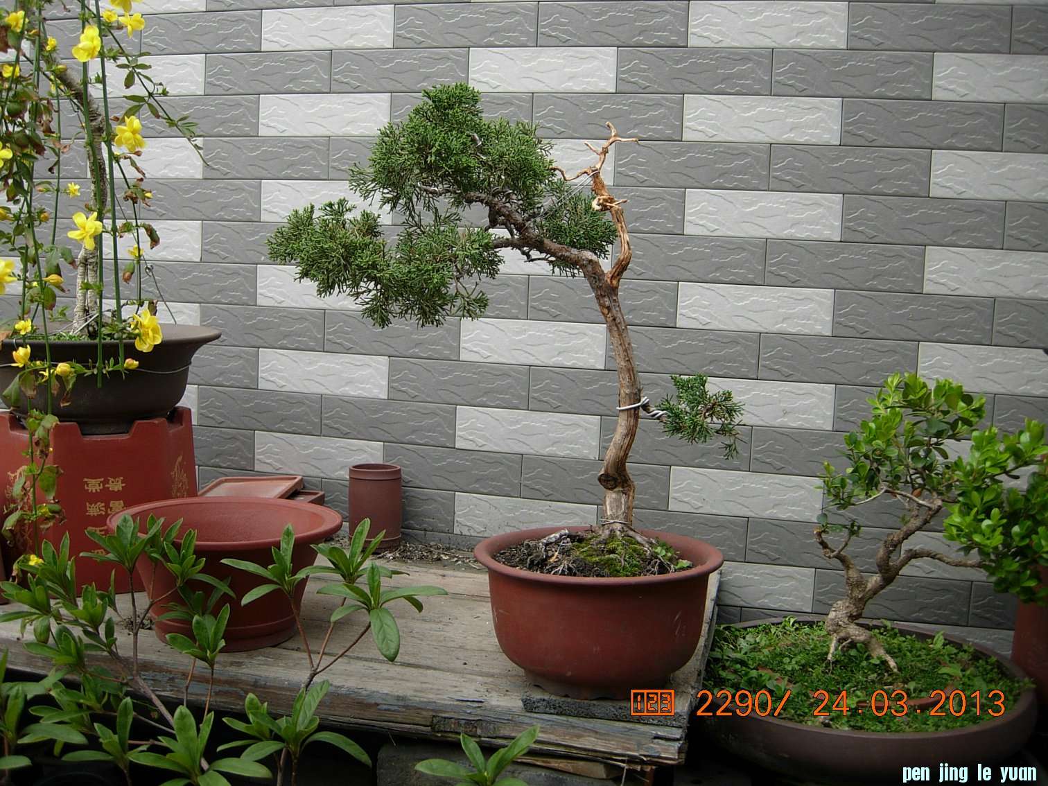 DSCN6584.JPG