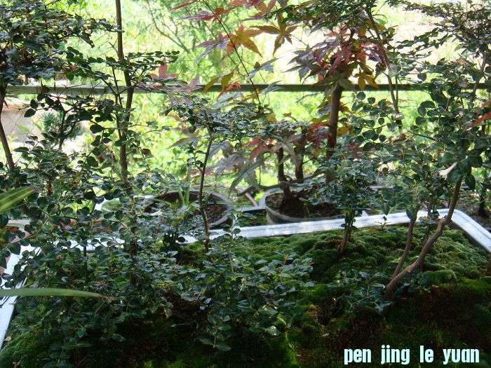 Ƭ 098.jpg