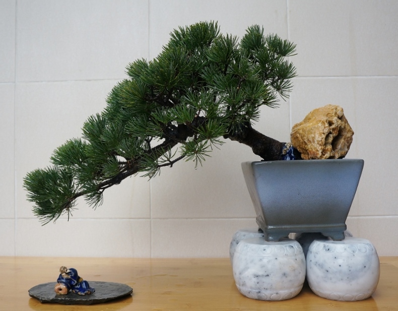 ��������� (800x629).jpg