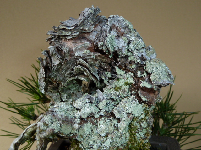 SB 072 (6).jpg