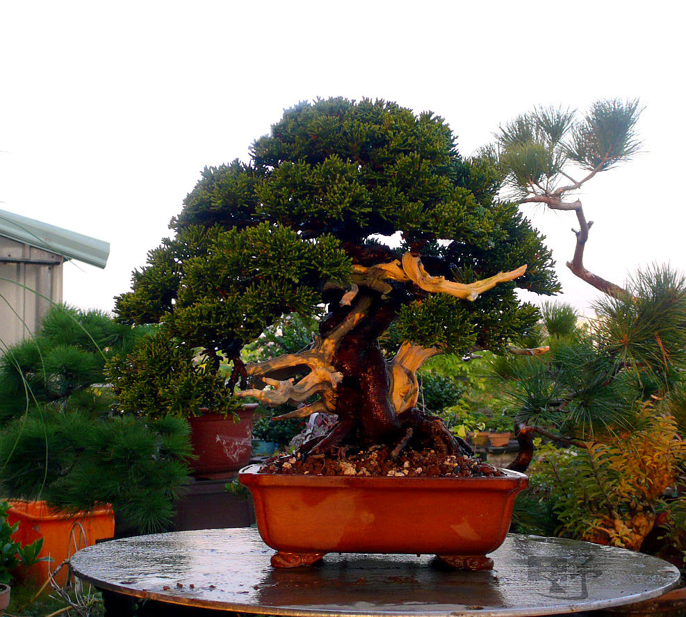 F23_20110123085437697.jpg
