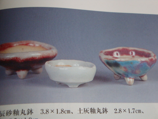 DSC02603.JPG