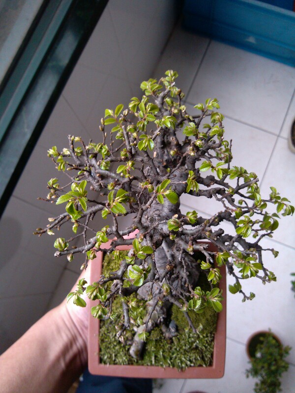 IMG20130327103048.jpg