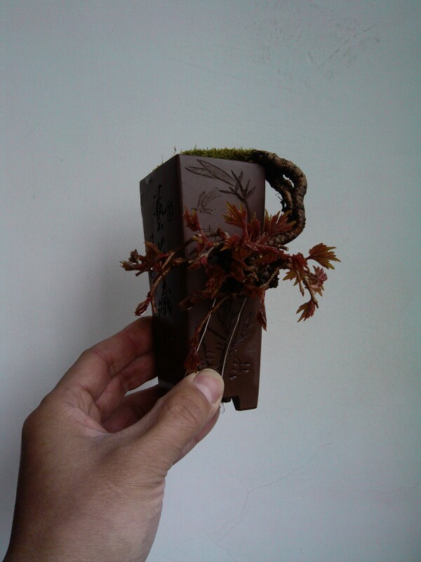 IMG20130327110812.jpg