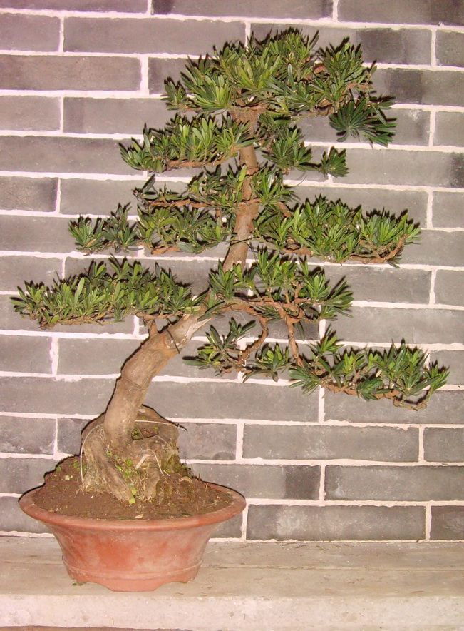 SNV30026.JPG