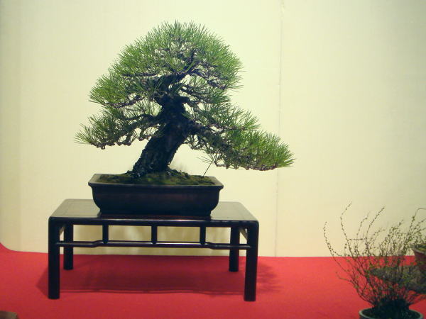 22kai-kihatikai-naitou-kasyou-dai.jpg