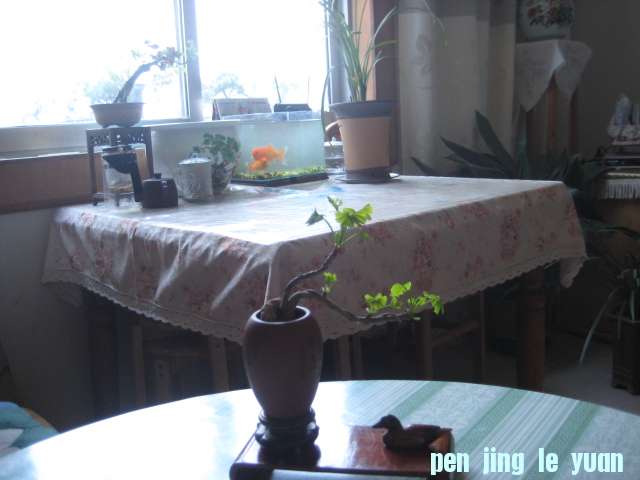 IMG_5833.JPG