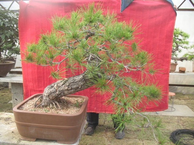 2013.3\\\'28 028.jpg