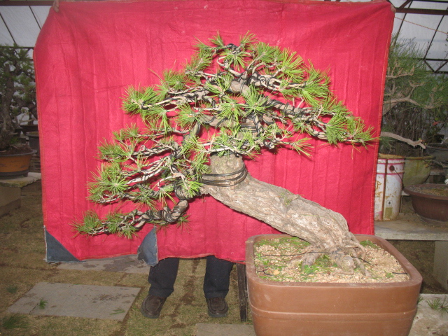 2013.3\\\'28 038.jpg