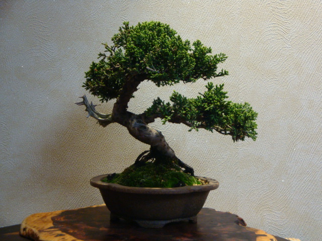 DSC03049.JPG