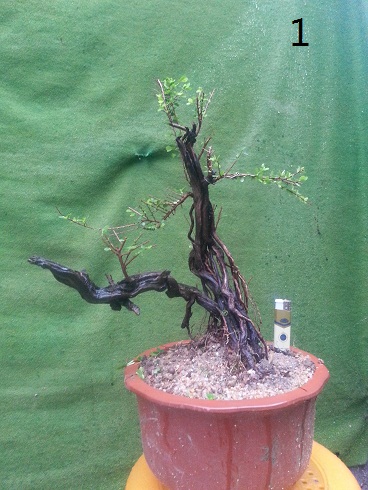 20130328_170608.jpg