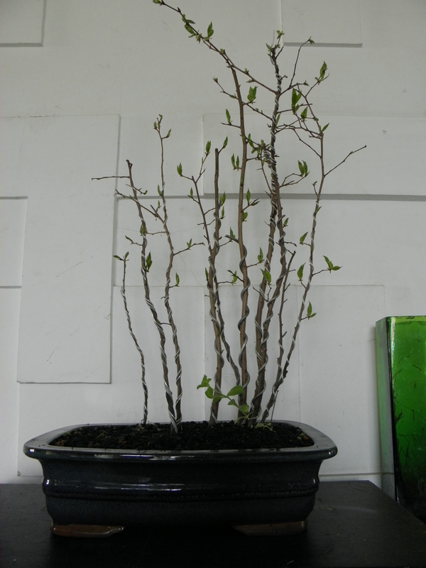 P1010029.JPG