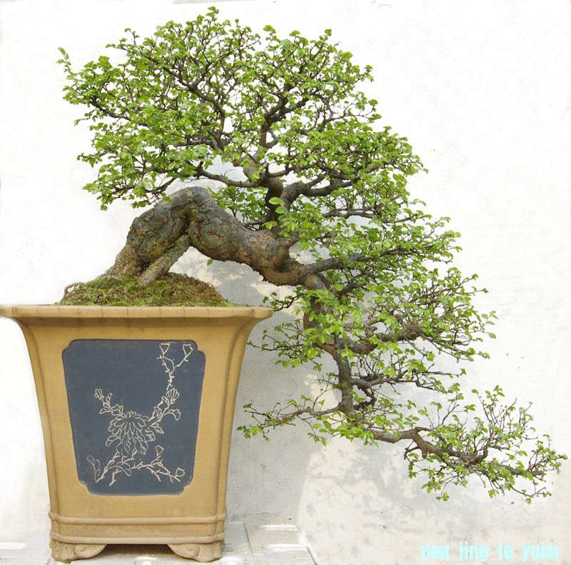  _IGP0760_.jpg