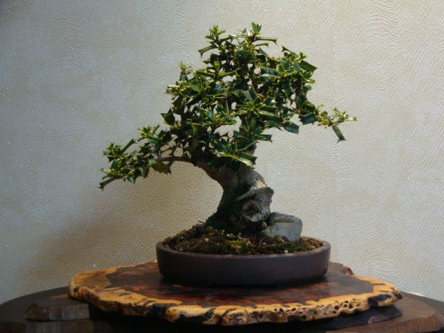 DSC03052.JPG
