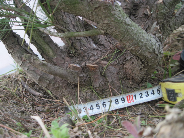 20130325Ժ 009.jpg