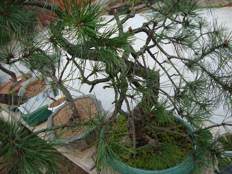 DSC01008_.jpg
