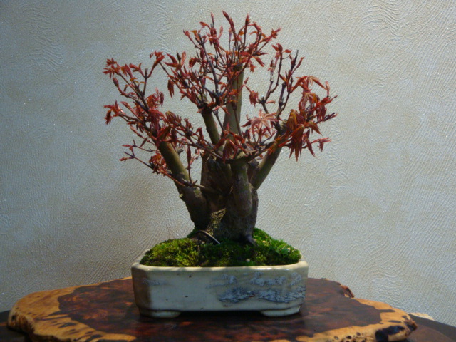 DSC03074.JPG