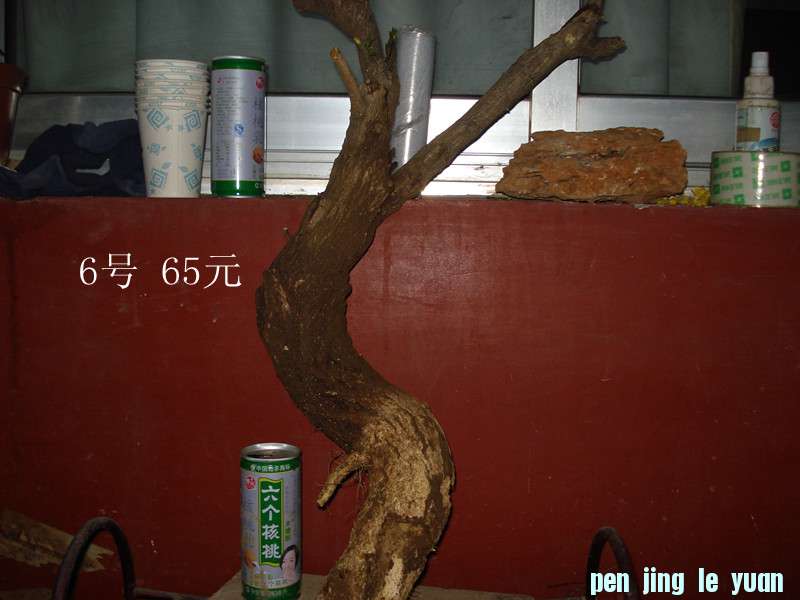 DSC04993_.jpg