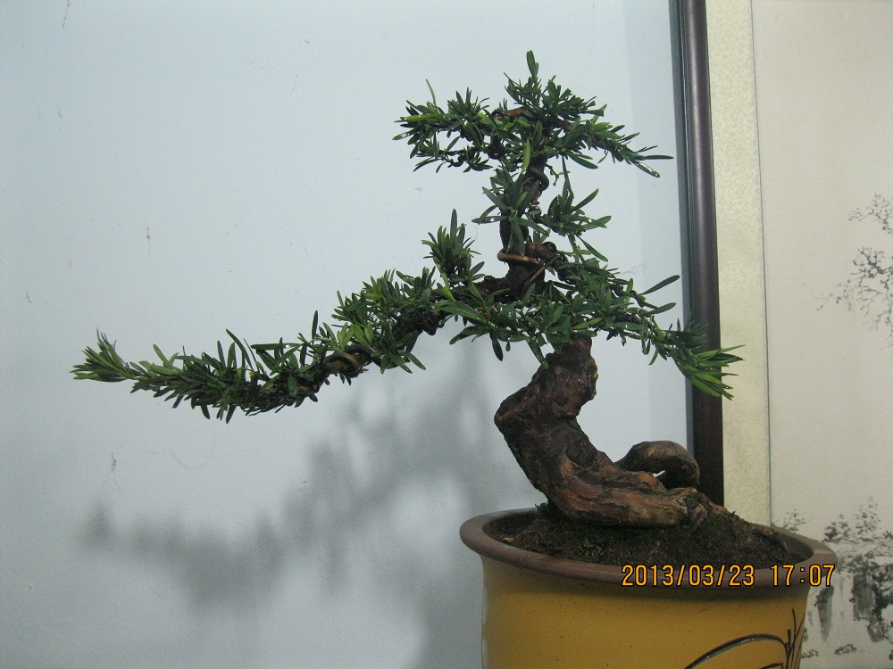 IMG_1788.JPG