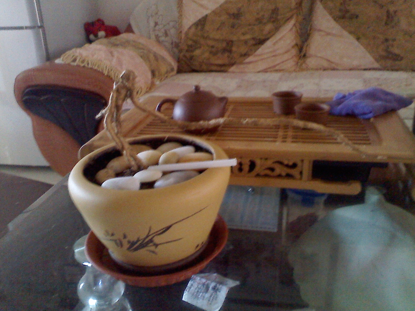 IMG0320081600.jpg