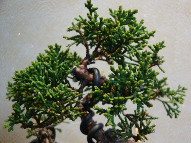 DSC03062.JPG
