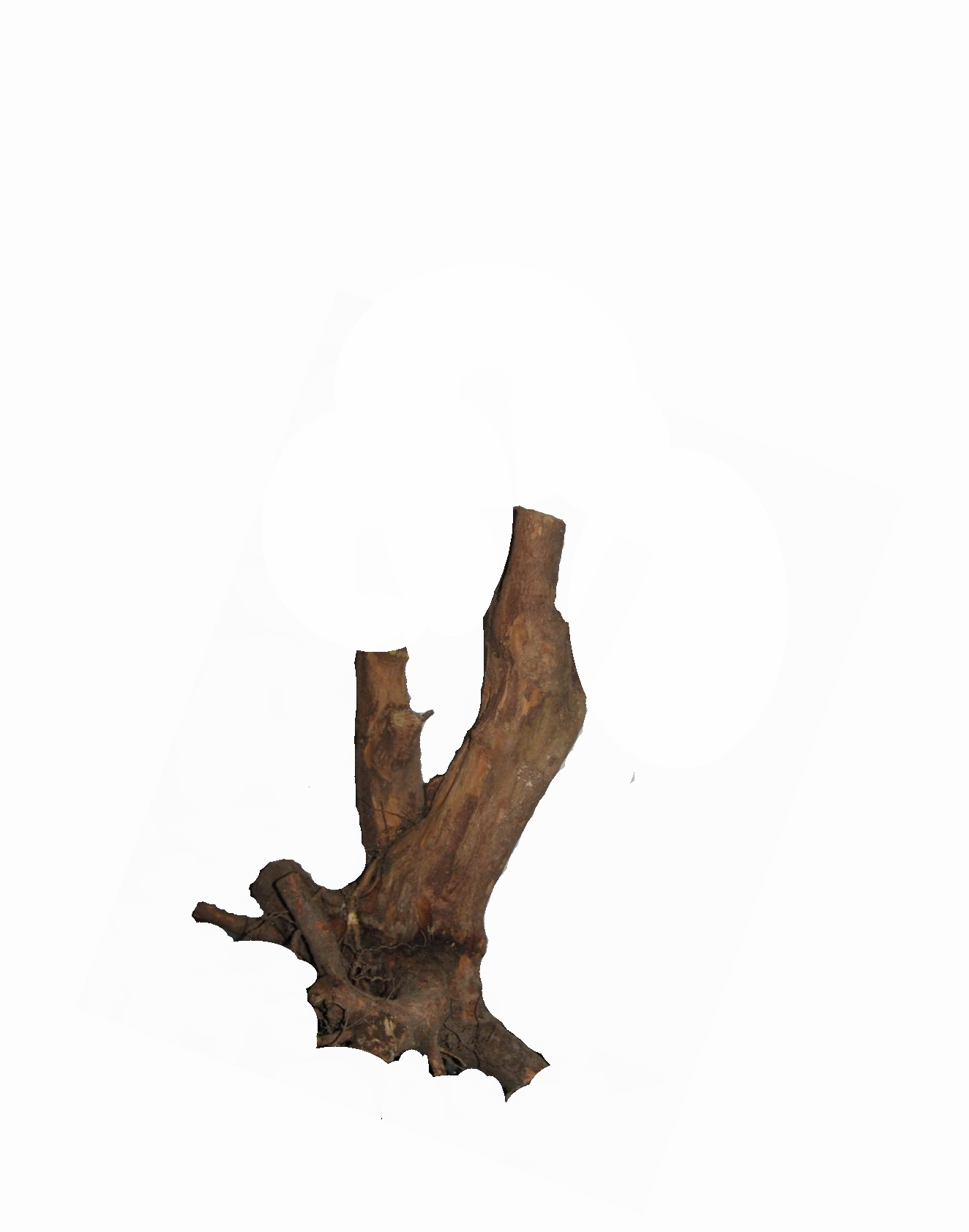 d3.jpg