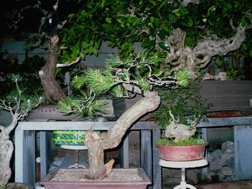 P1040123_.jpg