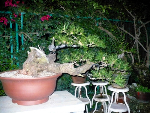 P1040127_.jpg