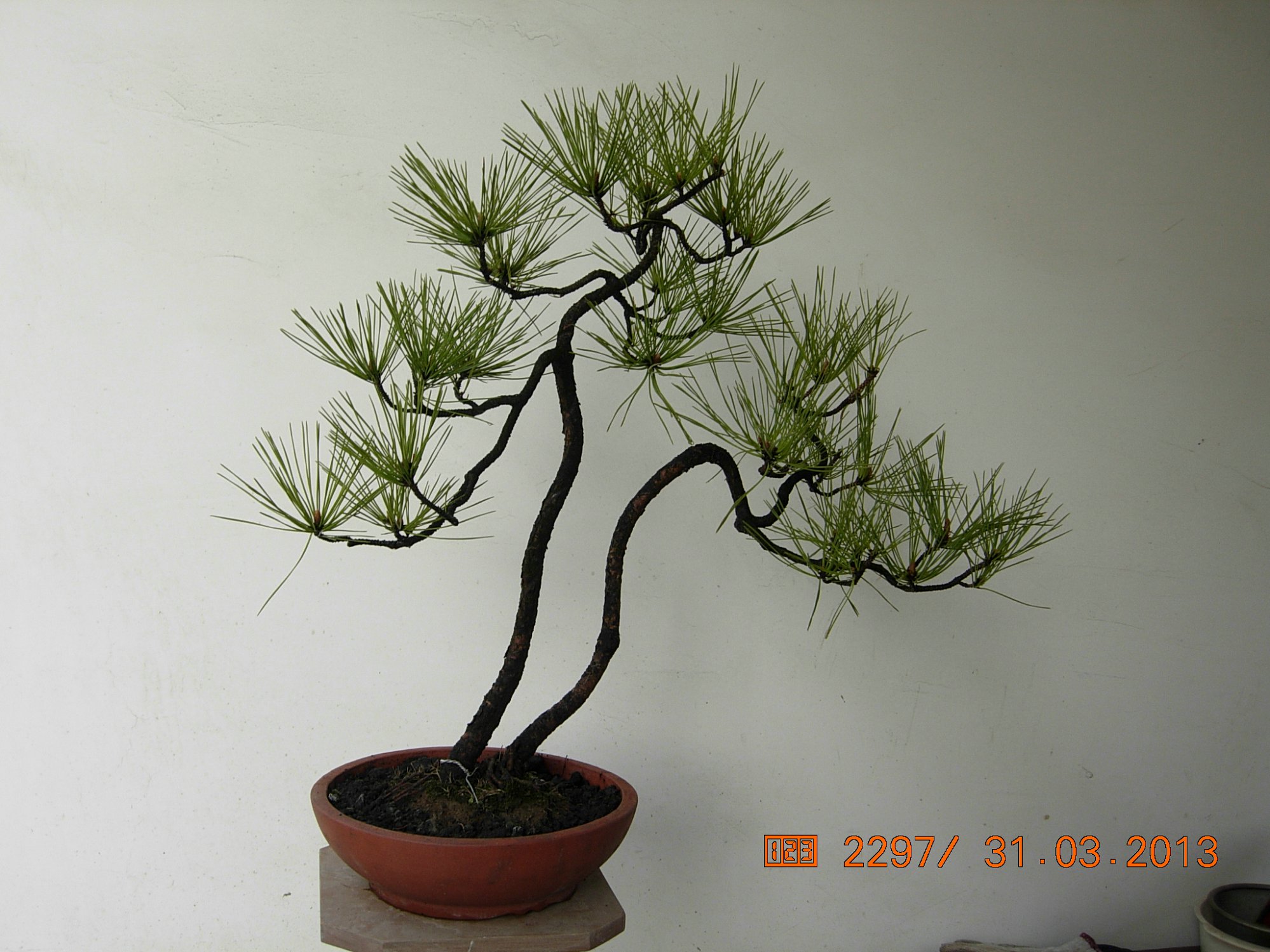 DSCN6609.JPG