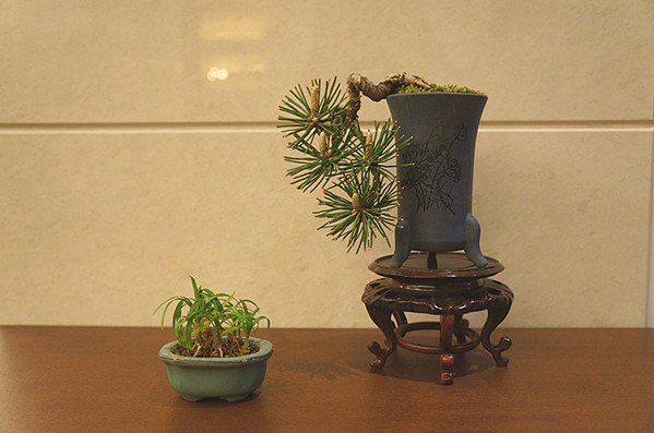 DSC01343_.jpg