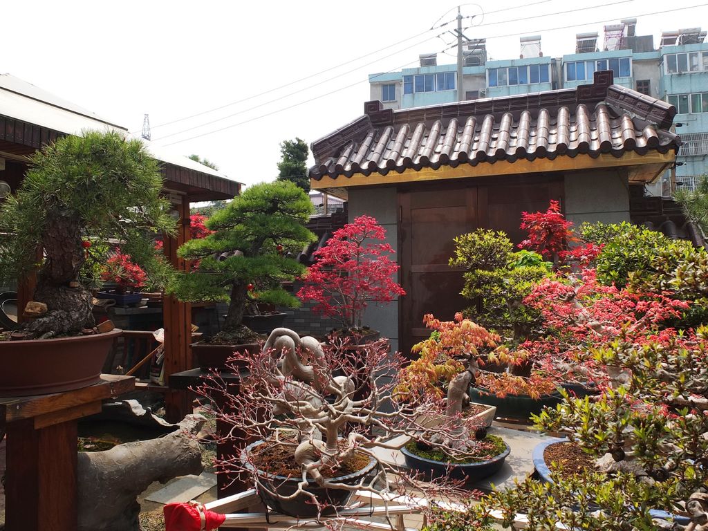 DSCF3200.jpg