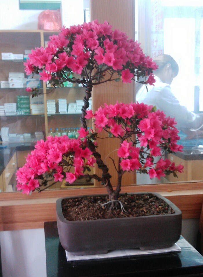 IMG_20130401_190313.jpg