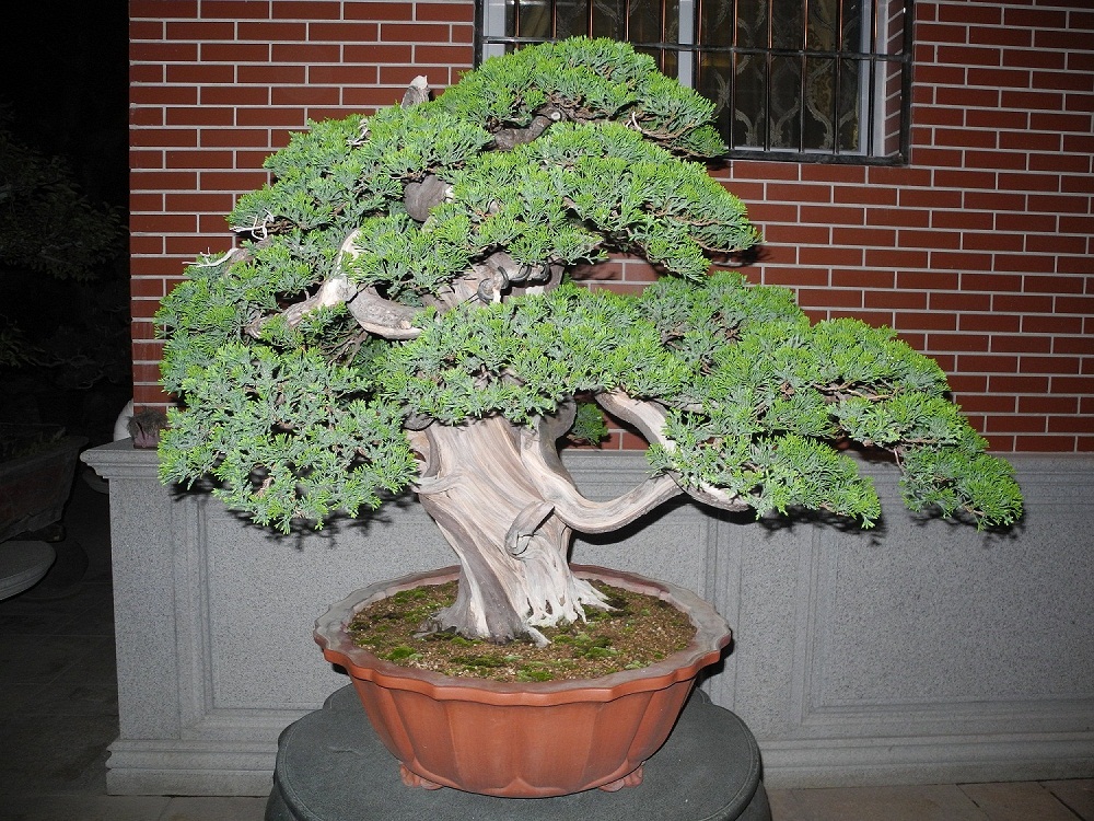 DSCN0294.JPG