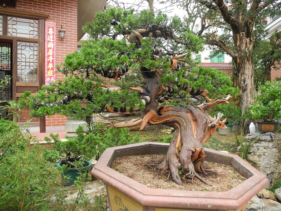 DSCN0434.JPG