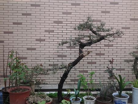 20130401_092501.jpg