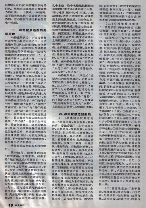 ݥ-辰4.jpg