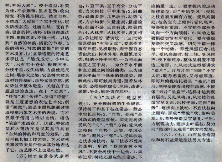 ݥ-辰5.jpg