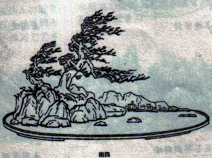 ݥ跨-ͼ4ľ99- .jpg