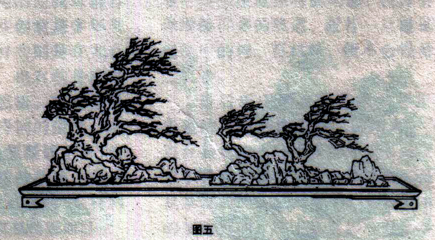 ݥ跨-ͼ5ľ99-.jpg